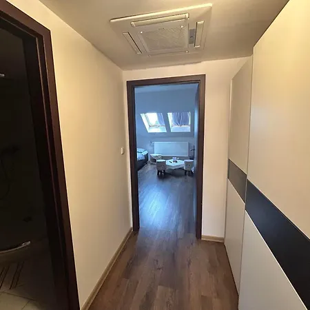 Guest house Contesa 3*